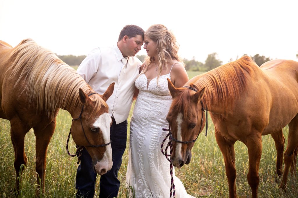 bride and groom with horses on their wedding day